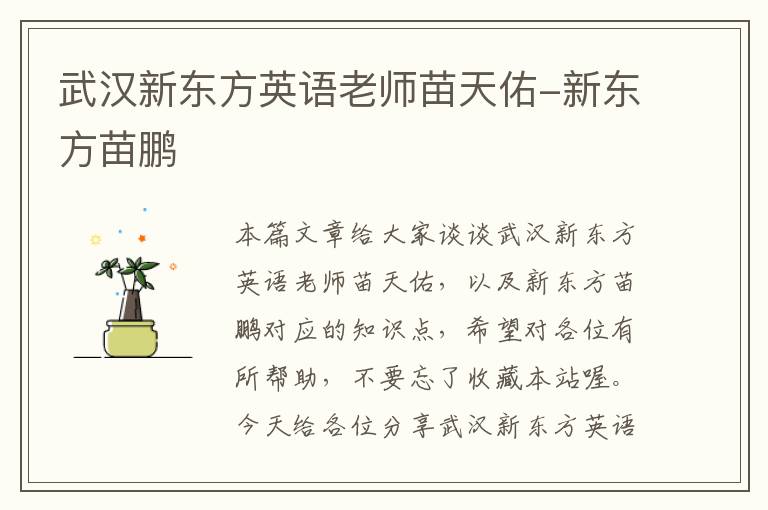 武汉新东方英语老师苗天佑-新东方苗鹏