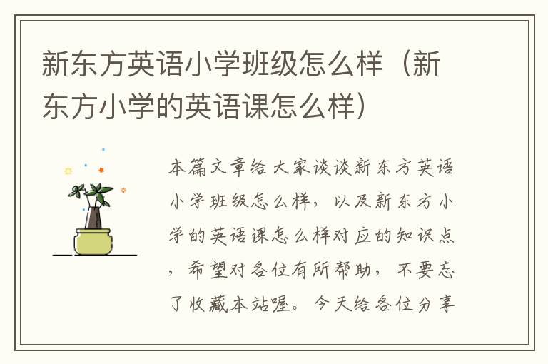 新东方英语小学班级怎么样（新东方小学的英语课怎么样）