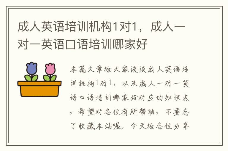 成人英语培训机构1对1，成人一对一英语口语培训哪家好