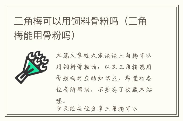 宁波成人英语外教培训中心-宁波成人英语培训机构