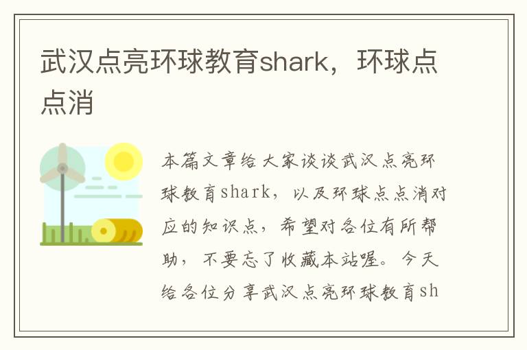 武汉点亮环球教育shark，环球点点消