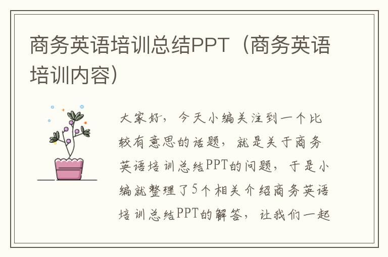 商务英语培训总结PPT（商务英语培训内容）