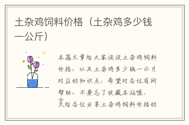 新东方英语小学生培训价格（新东方小学的英语课怎么样）