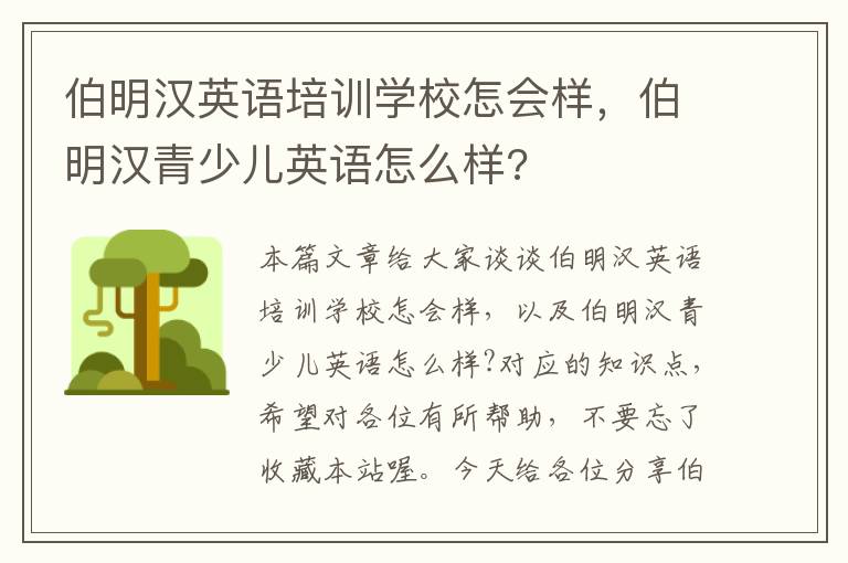 伯明汉英语培训学校怎会样，伯明汉青少儿英语怎么样?